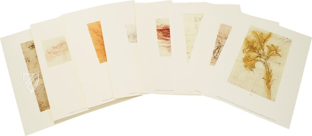 Landschafts-, Pflanzen- und Gewässerstudien – Royal Library at Windsor Castle (Windsor, Großbritannien)