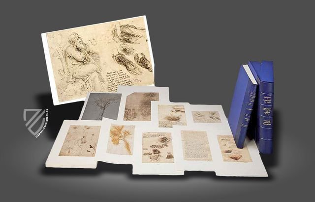 Leonardo da Vinci: Landschafts-, Pflanzen- und Gewässerstudien Faksimile