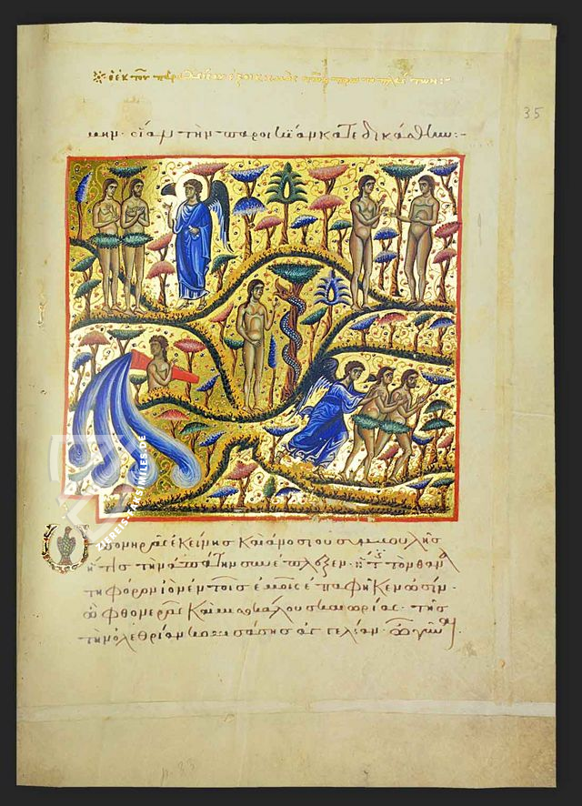 Das Marienhomiliar des Jakobos von Kokkinobaphos (Vorzugsausgabe)