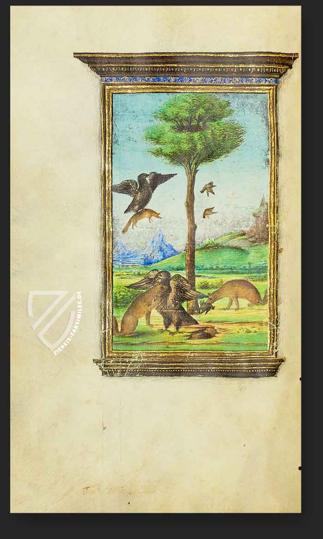 Esopo Medici