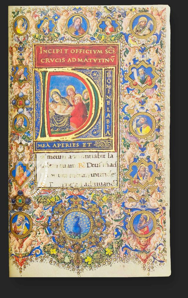 Le Ore Medici-Rothschild (Vermeil-Einband)