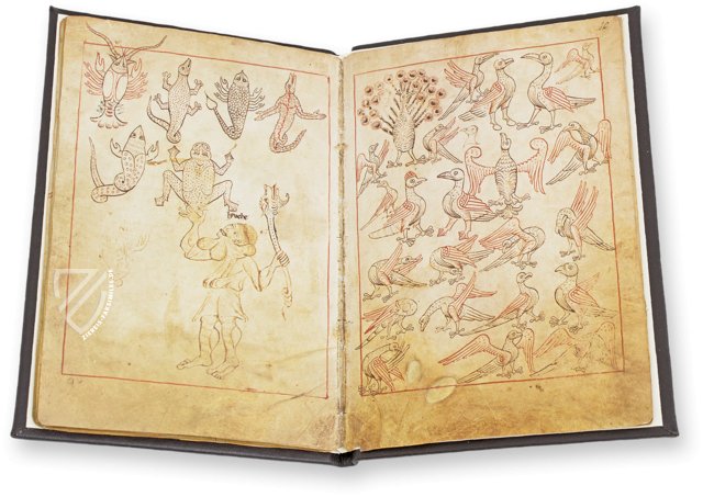 Reiner Musterbuch – Cod. Vindob. 507 – Österreichische Nationalbibliothek (Wien, Österreich)
