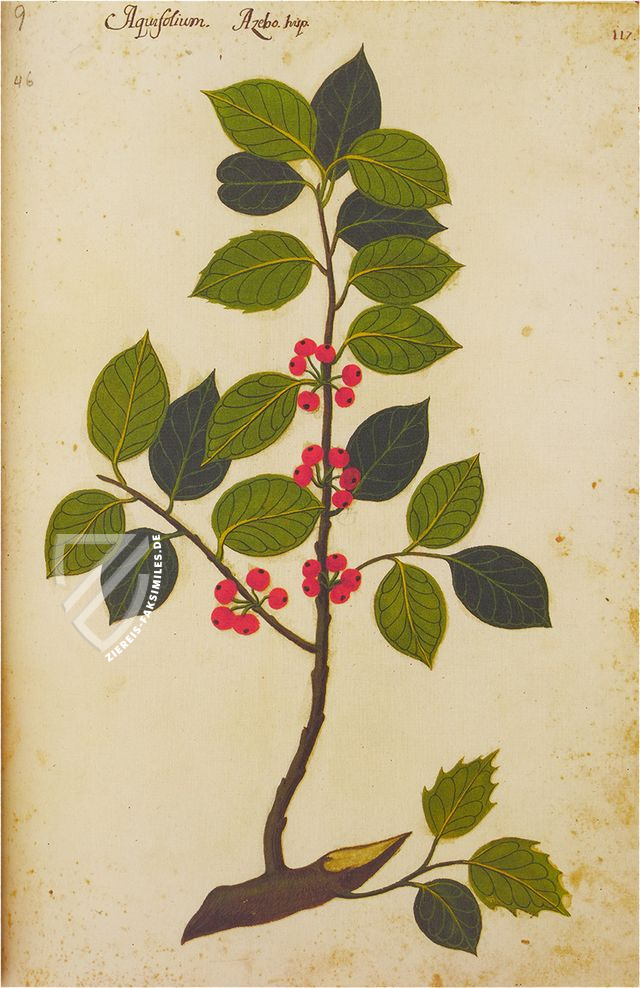 Atlas de historia natural de Felipe II (Códice Pomar)