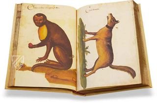 Atlas Historiae Naturalis von Philipp II. - Pomar-Codex Faksimile
