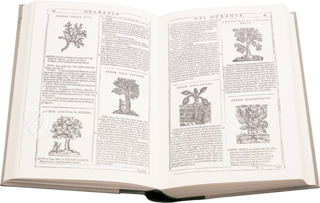Neues Herbarium von Castore Durante – Priuli & Verlucca, editori – Biblioteca del Museo Regionale di Scienze Naturali di Torino (Turin, Italien) Neues Herbarium von Castore Durante – Priuli & Verlucca, editori – Biblioteca del Museo Regionale di Scienze Naturali di Torino (Turin, Italien)