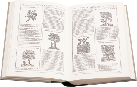 Neues Herbarium von Castore Durante Faksimile