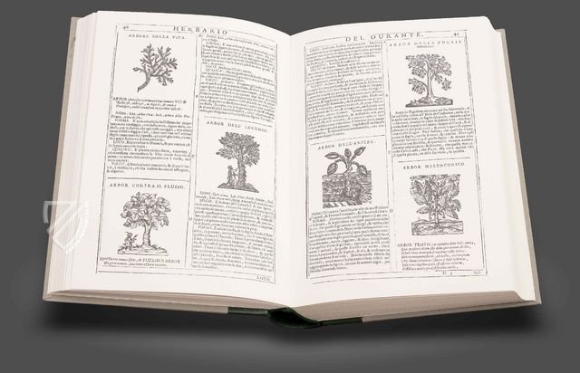 Neues Herbarium von Castore Durante – Priuli & Verlucca, editori – Biblioteca del Museo Regionale di Scienze Naturali di Torino (Turin, Italien)