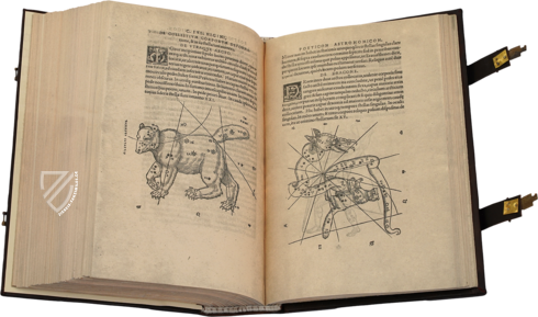 Nicolaus Copernicus - De revolutionibus orbium coelestium libri VI – Orbis Pictus – Pol.6 III.142 – Biblioteka Uniwersytecka Mikołaj Kopernik w Toruniu (Toruń, Polen)