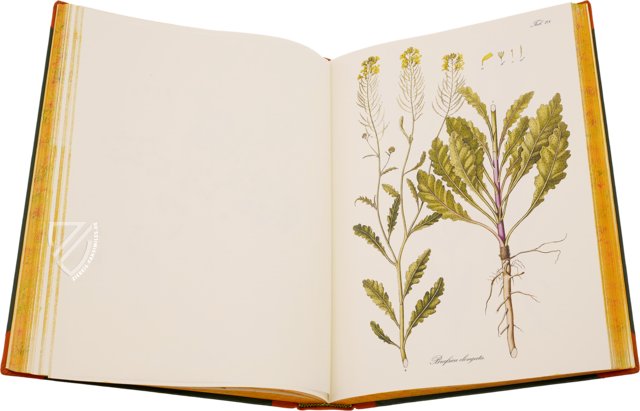 Paul Kitaibel: Descriptiones Et Icones Plantarum Rariorum Hungariae