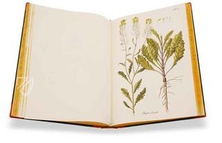 Paul Kitaibel: Descriptiones Et Icones Plantarum Rariorum Hungariae – Pytheas Books – 