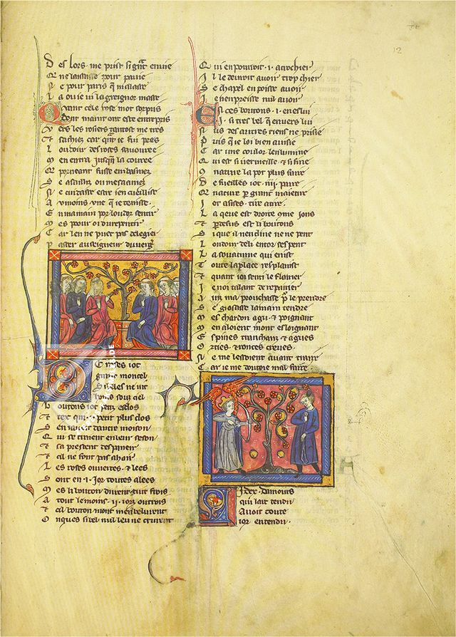 Rosenroman des Berthaud d’Achy – Belser Verlag – Urb. lat. 376 – Biblioteca Apostolica Vaticana (Vatikanstadt, Vatikanstadt)