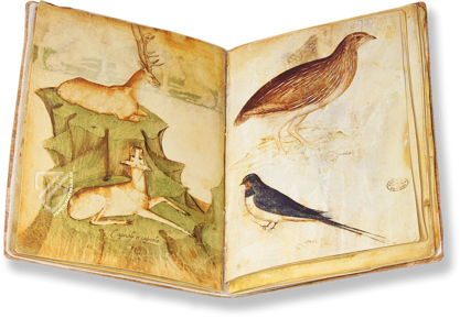 Musterbuch des Giovannino de Grassi Faksimile