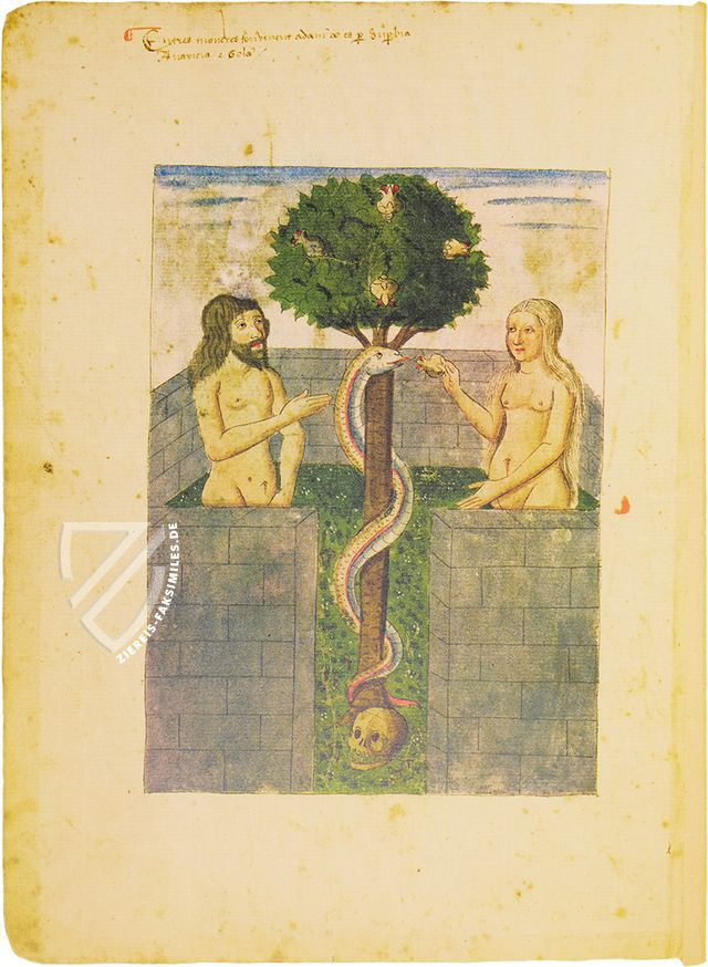 Speculum Animae – Edilan – Esp. 544 – Bibliothèque nationale de France (Paris, Frankreich)