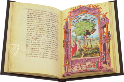 Pariser Splendor Solis – Patrimonio Ediciones – Ms. All. 113 – Bibliothèque nationale de France (Paris, Frankreich)