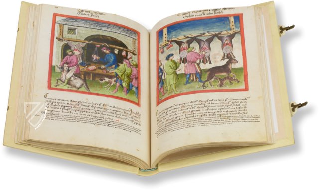 Tacuinum Sanitatis - Codex Paris – M. Moleiro Editor – Ms. Lat 9333 – Bibliothèque nationale de France (Paris, Frankreich) Tacuinum Sanitatis - Codex Paris – M. Moleiro Editor – Ms. Lat 9333 – Bibliothèque nationale de France (Paris, Frankreich)