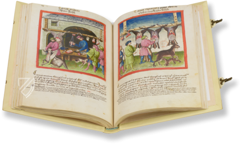 Tacuinum Sanitatis - Codex Paris Faksimile