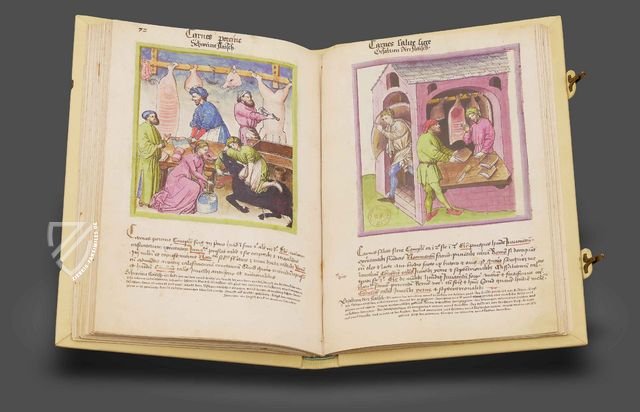 Tacuinum Sanitatis - Codex Paris – M. Moleiro Editor – Ms. Lat 9333 – Bibliothèque nationale de France (Paris, Frankreich)