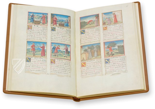 Tacuinum Sanitatis – Cod. Vindob. 2396 – Österreichische Nationalbibliothek (Wien, Österreich)