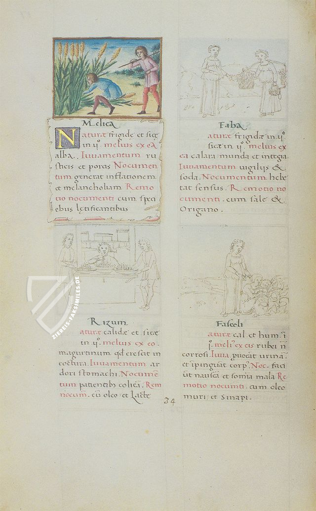 Tacuinum Sanitatis – Akademische Druck- u. Verlagsanstalt (ADEVA) – Cod. Vindob. 2396 – Österreichische Nationalbibliothek (Wien, Österreich)