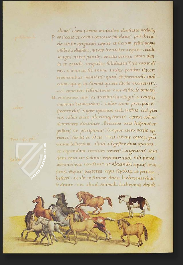 Tierbuch des Petrus Candidus (Leder-Ausgabe)