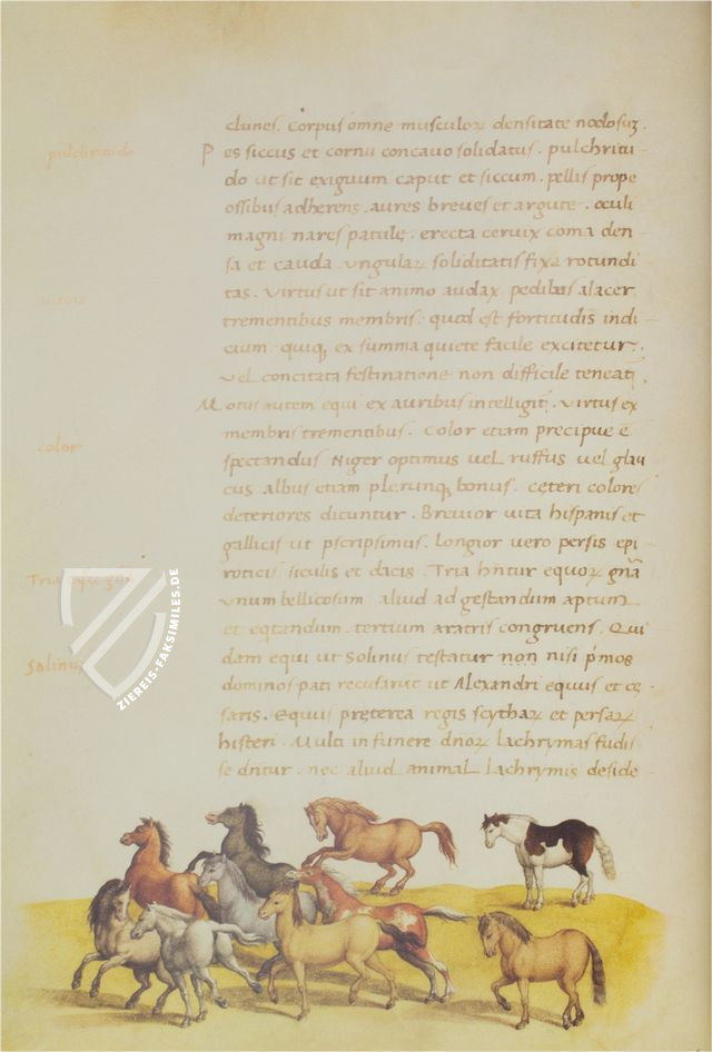 Tierbuch des Petrus Candidus (Leder-Ausgabe)