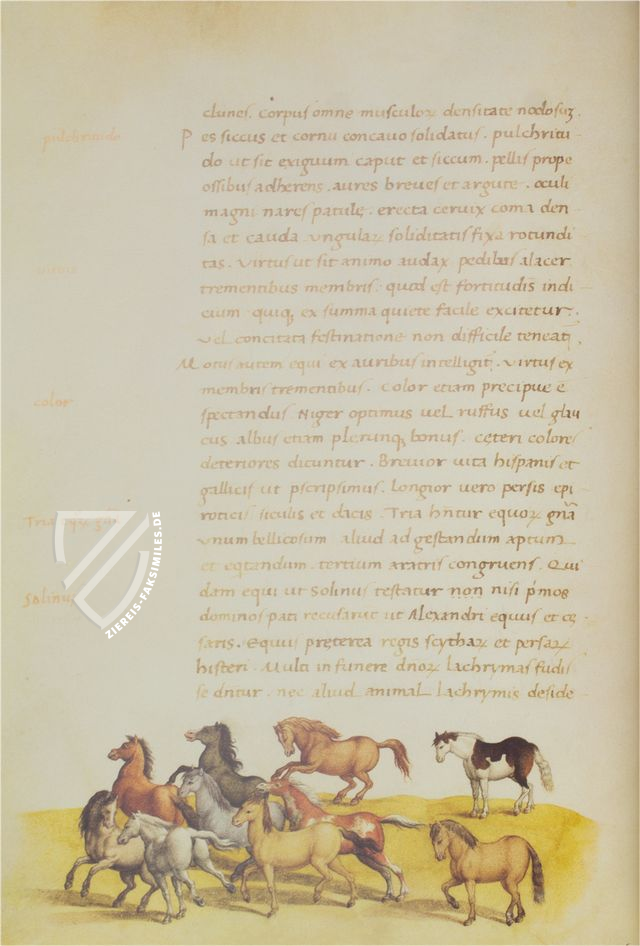 Tierbuch des Petrus Candidus – Belser Verlag – Urb. lat. 276 – Biblioteca Apostolica Vaticana (Vatikanstadt, Vatikanstadt)