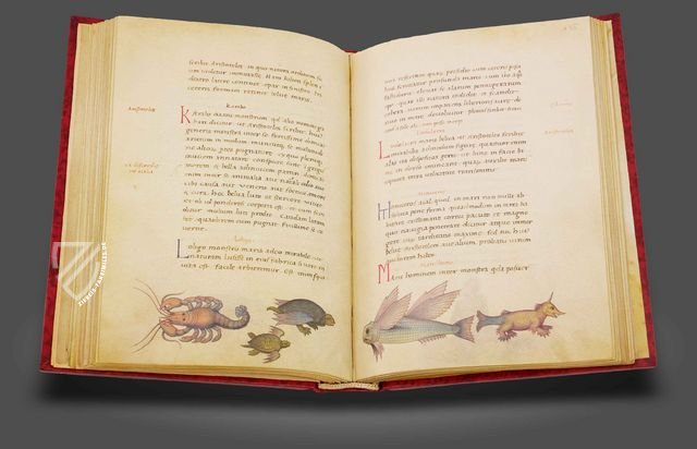 Tierbuch des Petrus Candidus Faksimile