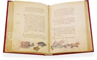 Tierbuch des Petrus Candidus – Belser Verlag – Urb. lat. 276 – Biblioteca Apostolica Vaticana (Vatikanstadt, Vatikanstadt)