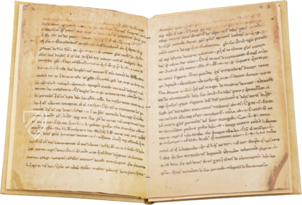 Homilien von Organyà – Millennium Liber – Ms. 289 – Biblioteca Nacional de Catalunya (Barcelona, Spanien)