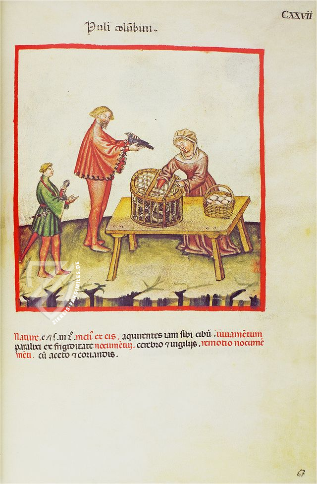 Theatrum Sanitatis – M. Moleiro Editor – Ms. 4182 – Biblioteca Casanatense (Rom, Italien)