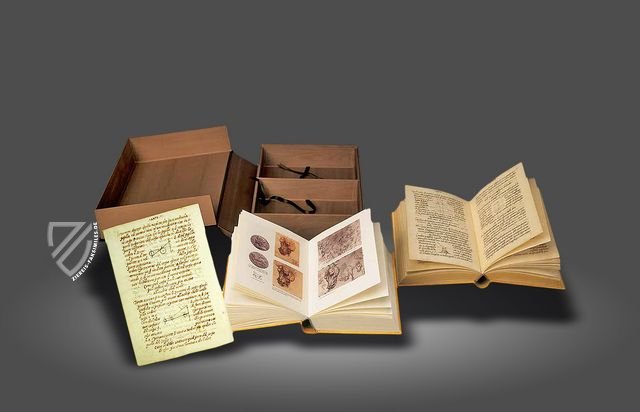 Buch der Malerei – Giunti Editore – Urb. Lat. 1270 – Biblioteca Apostolica Vaticana (Vatikanstadt, Vatikanstadt)