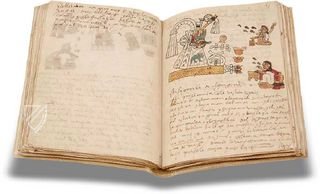 Tudela-Codex – Testimonio Compañía Editorial – 70400 – Museo de América (Madrid, Spanien)