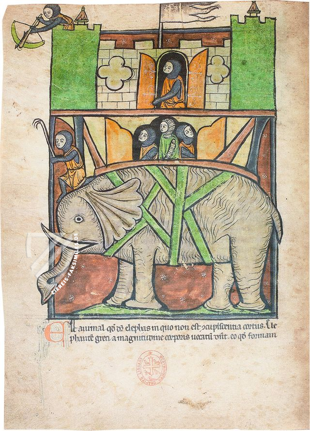 Bestiarium aus Westminster – Siloé, arte y bibliofilia – Ms. 22 – Westminster Abbey Library (London, Vereinigtes Königreich) Bestiarium aus Westminster – Siloé, arte y bibliofilia – Ms. 22 – Westminster Abbey Library (London, Vereinigtes Königreich)