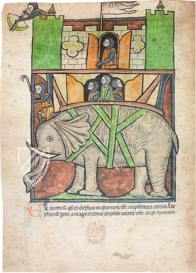 Bestiarium aus Westminster – Siloé, arte y bibliofilia – Ms. 22 – Westminster Abbey Library (London, Vereinigtes Königreich)