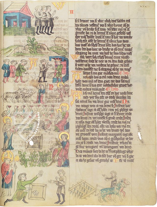 Wolfenbütteler Sachsenspiegel – Akademische Druck- u. Verlagsanstalt (ADEVA) – Cod. Guelf. 3.1 Aug. 2° – Herzog August Bibliothek (Wolfenbüttel, Deutschland)