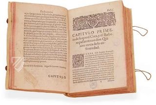 Don Quijote de la Mancha - Teil 1 & 2 – Testimonio Compañía Editorial – Biblioteca Nacional de España (Madrid, Spanien)