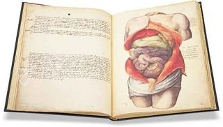 Anatomia depicta – Istituto dell'Enciclopedia Italiana - Treccani – Nuove Accessioni 329 (Grandi Formati 64) – Biblioteca Nazionale Centrale di Firenze (Florenz, Italien)