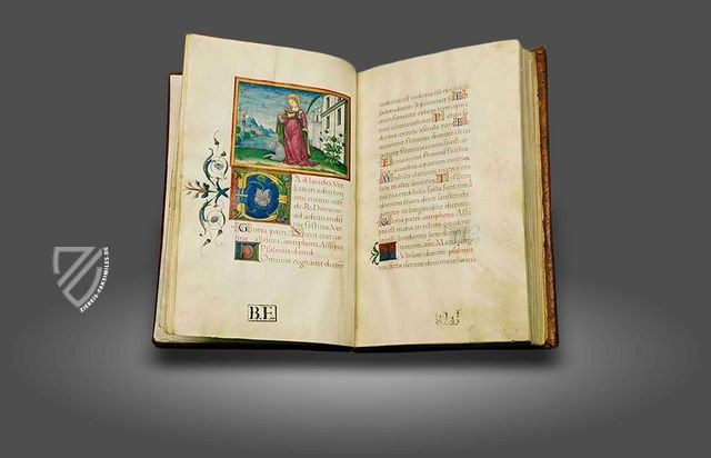 Officium beatae mariae virginis von Anna Sforza – Imago – Lat. 74 = alfa Q. 9. 31 – Biblioteca Estense Universitaria (Modena, Italien) Officium beatae mariae virginis von Anna Sforza – Imago – Lat. 74 = alfa Q. 9. 31 – Biblioteca Estense Universitaria (Modena, Italien)