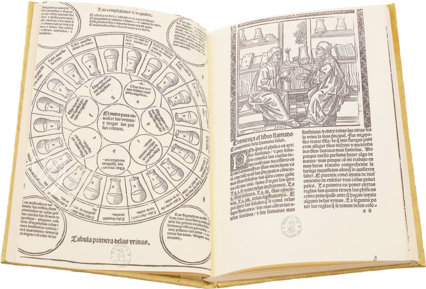 Kompendium der Gesundheit – Vicent Garcia Editores – I/51 – Biblioteca Nacional de España (Madrid, Spanien)