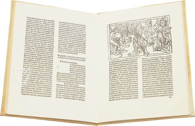 Die zwölf Aufgaben des Herkules – Vicent Garcia Editores – Inc. 2441 – Biblioteca Nacional de España (Madrid, Spanien) Die zwölf Aufgaben des Herkules – Vicent Garcia Editores – Inc. 2441 – Biblioteca Nacional de España (Madrid, Spanien)