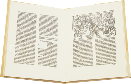 Die zwölf Aufgaben des Herkules – Vicent Garcia Editores – Inc. 2441 – Biblioteca Nacional de España (Madrid, Spanien)