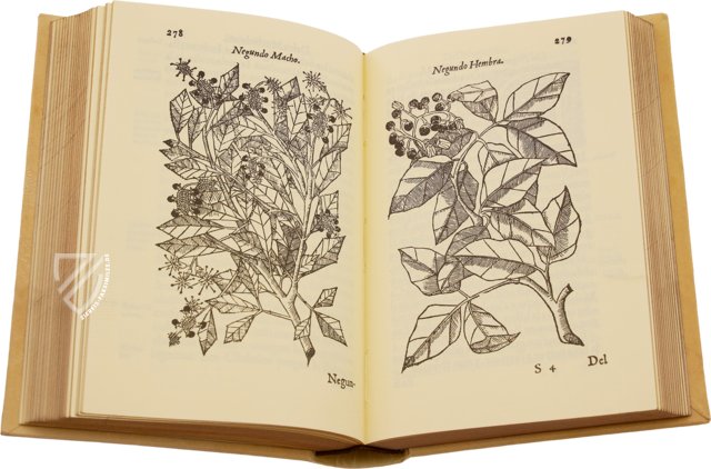 Geschichte über die Medizin des östlichen Indiens – E/268 – Biblioteca Histórico Médica de la Universidad de València (Valencia, Spanien)