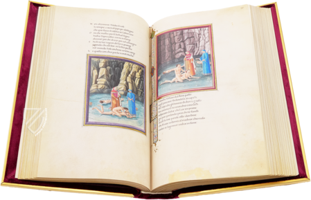 Dante Alighieri: Göttliche Kommödie - Urbinate Codex