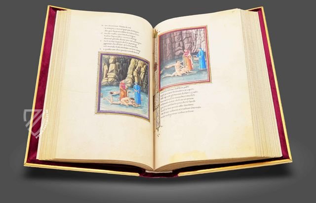 Dante Alighieri: Göttliche Kommödie - Urbinate Codex