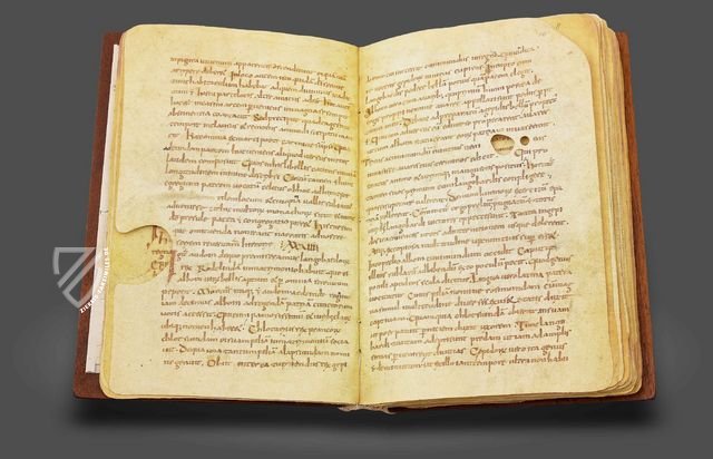 Die Geschichte der Langobarden – CAPSA, Ars Scriptoria – Cod. XXVIII – Museo Archeologico Nazionale di Cividale del Friuli (Cividale del Friuli, Italien)