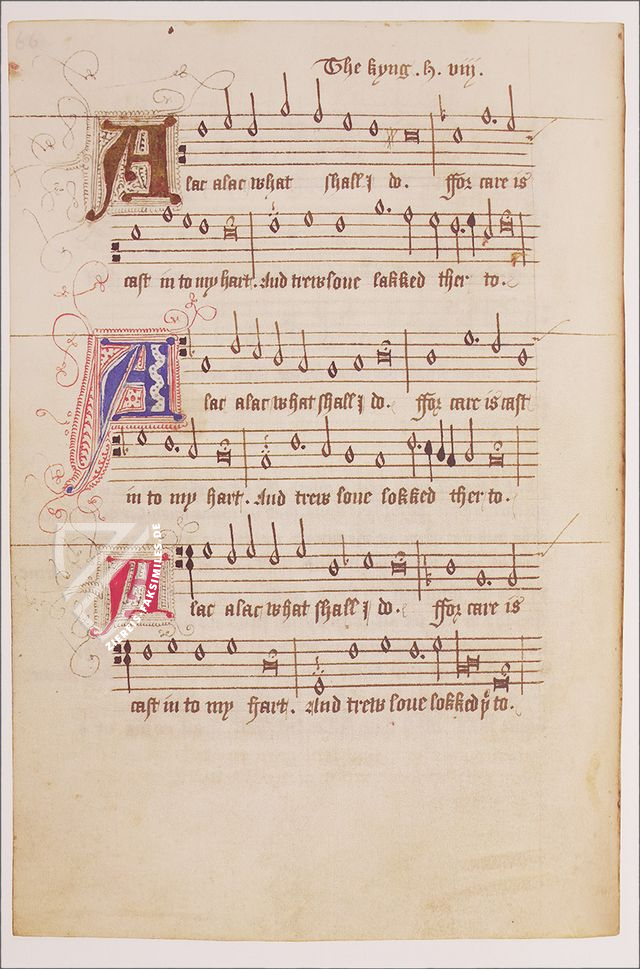 The Henry VIII Book