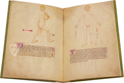 Bartolomeo Squarcialupi - Buch der Kauter – Nova Charta – ms. Fanzago 2, I, 5, 28 – Biblioteca Medica Vincenzo Pinali (Padua, Itaien)