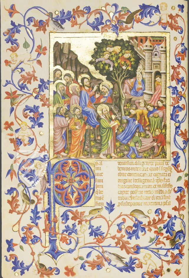 Breviario de Martín de Aragón