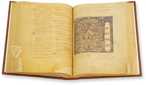 Liber Magistri – Tip.Le.Co – Cod. 65 – Archivio Capitolare della Cattedrale (Piacenza, Italien)