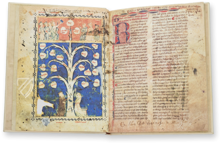 Baum der Philosophie der Liebe von Ramon Llull – Millennium Liber – F-129 – Biblioteca Diocesana de Mallorca (Palma de Mallorca, Spanien)